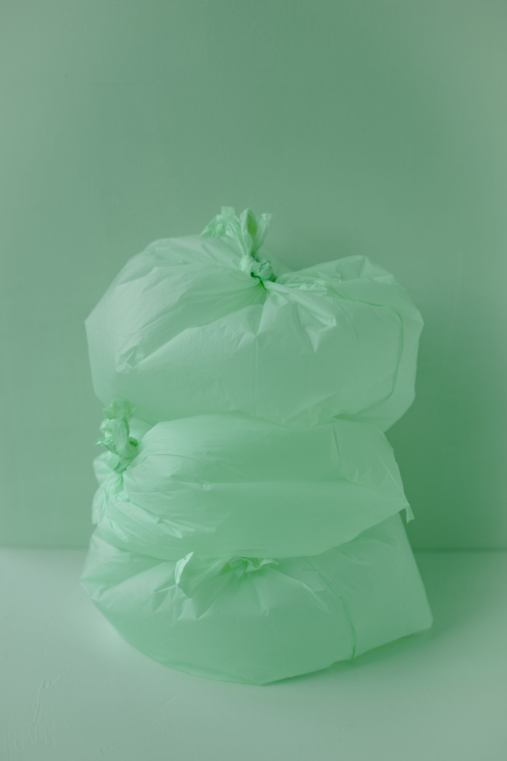 Environmentally conscious What is the Essence of an Environmentally Conscious Business?