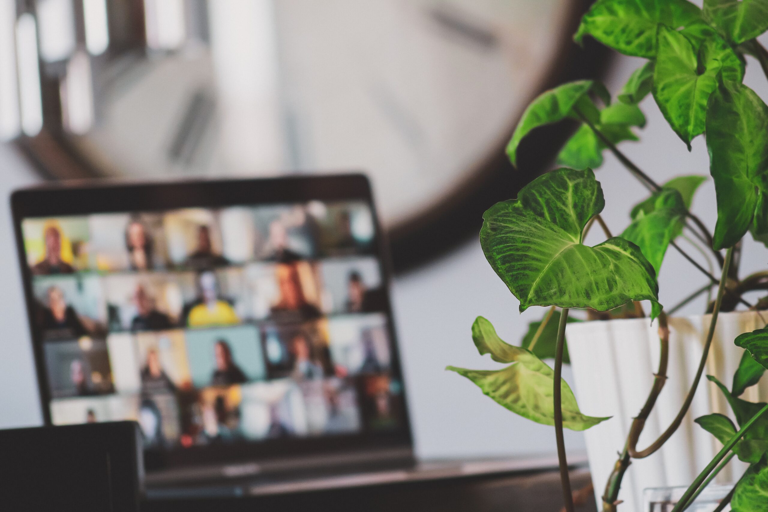 Remote working Photo by Sigmund on Unsplash